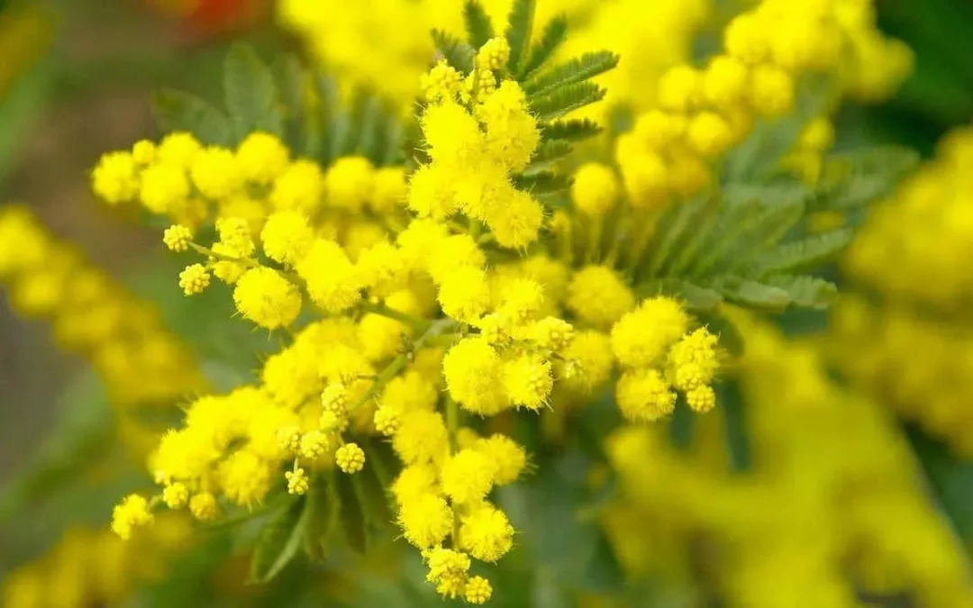 A mani nude e a cuore aperto