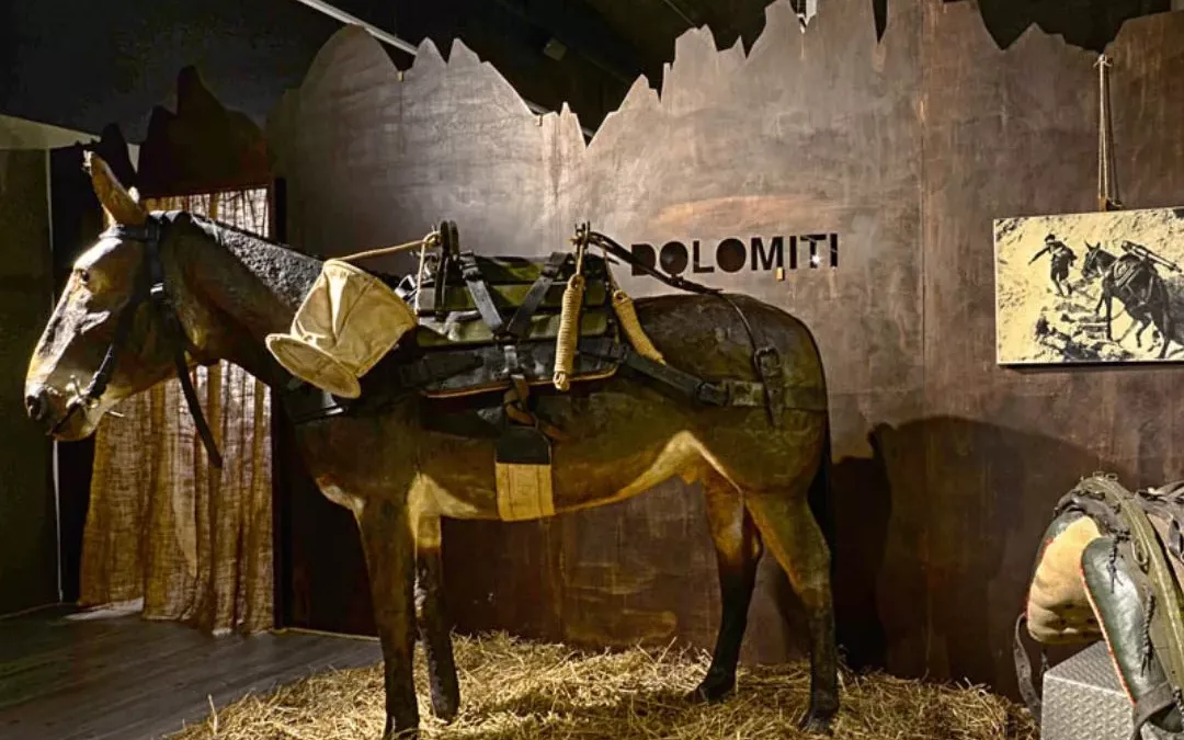 Museo degli Alpini di Biella, una visita guidata col Candelo in Fiore
