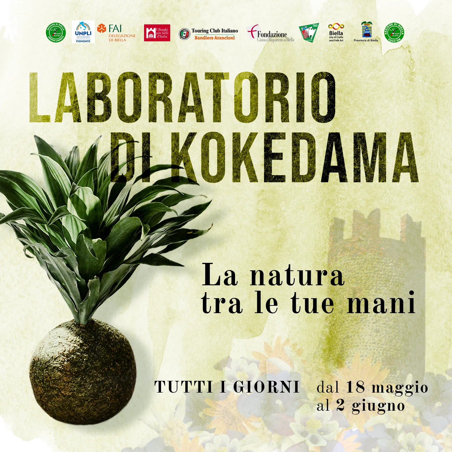 kokedama_laboratorio