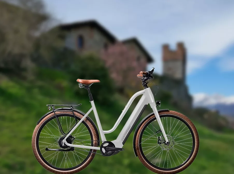 Esplora Candelo e la Baraggia in E-bike: la tua avventura senza fatica!